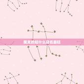 属龙的起什么店名最旺，属龙人做生意起什店名