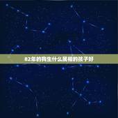 82年的狗生什么属相的孩子好，男83年猪，女82年狗，生什么属相的宝宝