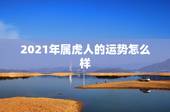 2021年属虎人的运势怎么样，属虎2021年运势如何