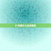 81年属什么生肖婚配，十二生肖更佳婚配表