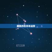 属龙的在羊年运势，属龙人羊年的桃花运势如何