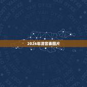 2026年清宫表图片，清宫表自动计算器