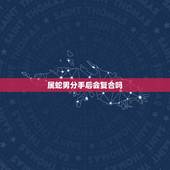 属蛇男分手后会复合吗，属蛇男人吻一个女人是不是