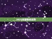 2021年属猴的运势，80年属猴人在2021年的全年运势