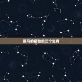 属马的最怕的三个生肖，生肖属马的与什么属相相冲？