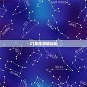 21年生肖蛇运势，2022 年十二生肖属蛇运势