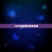 1995年属猪运势及运程，1995年属猪2018年运势及运程