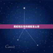 男蛇和女羊的婚配怎么样，属蛇男和属羊女婚配如何