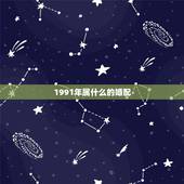 1991年属什么的婚配，91年属羊的属相婚配表
