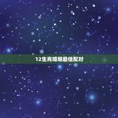 12生肖婚姻最佳配对，十二生肖配对姻缘猪配虎