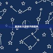 能测长大后样子的软件，有没有可以探测到长大以后样子的软件？是什么？