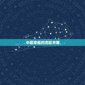 中国幸福的虎蛇夫妻，征集中国所有蛇虎结婚得夫妻，不论年纪，请看到这个信