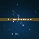 2021年正月十九日子什么属相，2023年明天正月19在十二生肖中属于