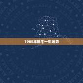 1985年属牛一生运势 最穷不过36岁