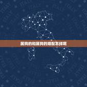 属狗的和属狗的婚配怎样呢，属狗的和属狗相配吗