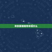 年份属相相克年叫什么，十二生肖相克相生是指年份还是月，日，时？