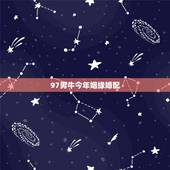 97男牛今年姻缘婚配，属牛的婚姻运