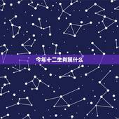 今年十二生肖属什么，十二生肖婚姻配对大全