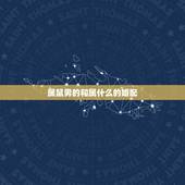 属鼠男的和属什么的婚配，属鼠的和什么属相最配 属鼠的属相婚配表