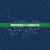 属猴和属猪生什么属相孩子好，属猴与属猪生一个什么属相宝宝好？