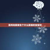 属鸡和属猪生个什么属相的宝宝好，属鸡的与属猪的结婚好不好