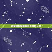 花童属相和新娘有点冲怎么办，生肖相冲做花童怎么办