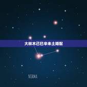 大林木己巳辛未土婚配，女大林木命和男路旁土命适合在一起么，急求，谢谢。
