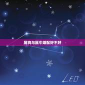 属狗与属牛婚配好不好，为什么属狗的和属牛的结婚不好