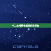 十二生肖属相最配的是哪些，十二生肖配对指数，什么和什么最般配？
