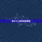 路上七人结伴走的属相，七人路上结伴走是属那生肖？
