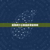 屋里喷什么能驱赶老鼠香精，屋里喷什么能驱赶老鼠？