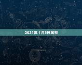 2021年丨月3日属相，2021年1月份属什么生肖