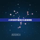 29岁的鸡不能和什么属相婚配，属鸡的和什么属相最不配
