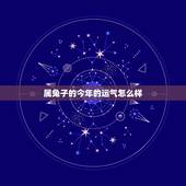 属兔子的今年的运气怎么样，2022 年属兔的运势和财运