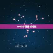 1983年属猪的婚配，95属猪哪一年结婚更好