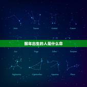 猴年出生的人是什么命，蛇年是什么命