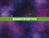 鼠兔相刑对双方都不好吗，男鼠女兔婚姻状况