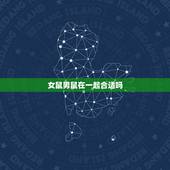 女鼠男鼠在一起合适吗，鼠男和属女在一起好不