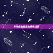 养几条金鱼适合感情运势，我想养几条金鱼当风水鱼，养几条比较好啊？