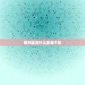 猴鸡鼠和什么属相不配，属鼠的和什么属相不合？