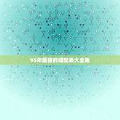 95年属猪的婚配表大全集，95年属猪跟什么属相配