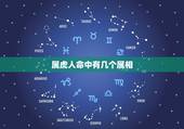 属虎人命中有几个属相，生肖虎五行属什么，属虎的五行