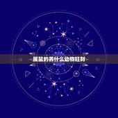 属鼠的养什么动物旺财，生肖鼠适合做什么行业