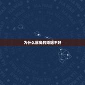 为什么属兔的婚姻不好，属兔人的命运与前途