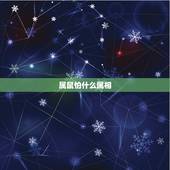 属鼠怕什么属相，属虎的贵人是什么属相