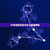 93年鸡亥时生与什么属相婚配，属鸡亥时出生的婚配1993年的鸡与哪种属