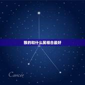 猴的和什么属相合最好，属猴男人和什么属相结合最好