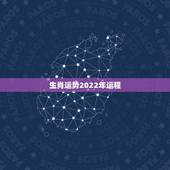 生肖运势2022年运程，李居明2022年生肖运程
