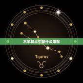 木羊和土牛配什么婚配，八字婚配：牛和羊可以婚配吗