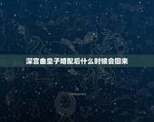 深宫曲皇子婚配后什么时候会回来，深宫曲皇子器重怎么提高